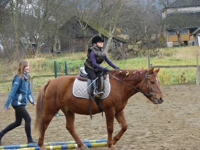 Hubertus 2010